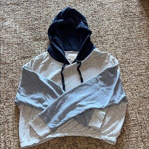 Blue & Gray Cropped AE Hoodie